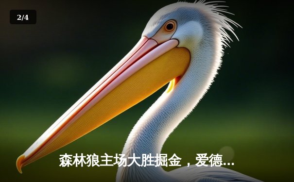 森林狼主场大胜掘金，爱德华兹狂砍43分率队扳平系列赛 - 2